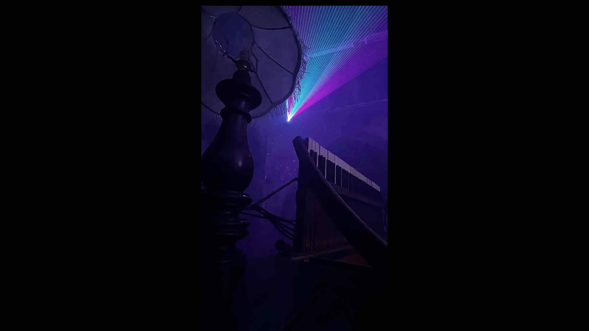 Live Shows